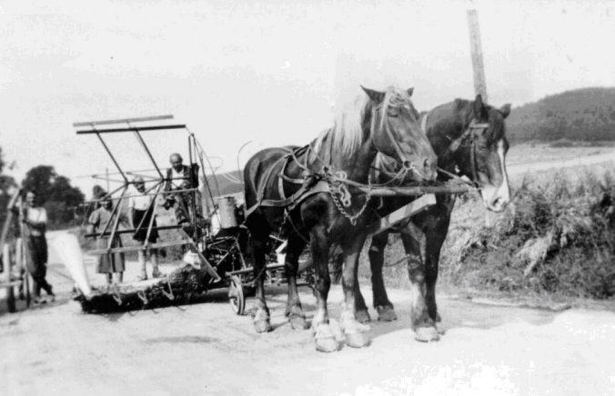 Der Binder des Bauern Trilling