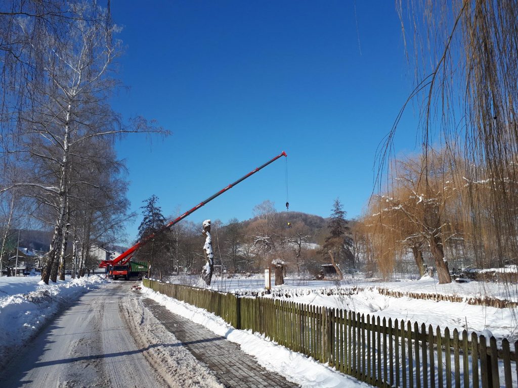 Welda Baumfällarbeiten