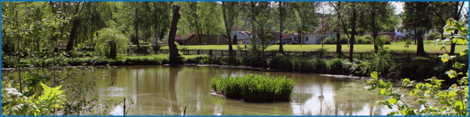 Welda Pfingsten 2021