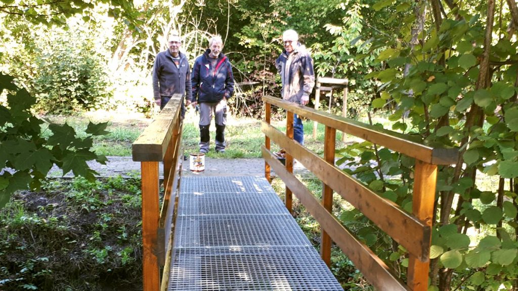 Brücke im Park