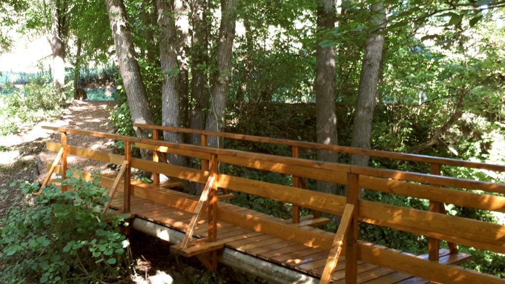 Brücke im Wald